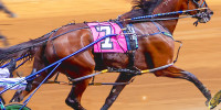 harness-racing