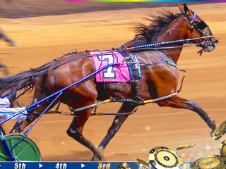 Harness Racing
