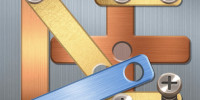 screw-puzzle