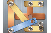 Play Screw Puzzle now!
