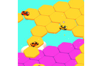 Play Sport Car Hexagon now!