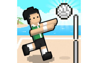 Play Volley Random now!